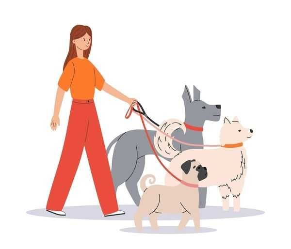 Pet Sitting and Dog Walking in Lisbon, Sintra, and Cascais