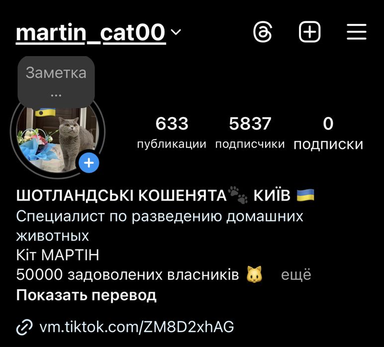 Шотландские котята от заводчика !