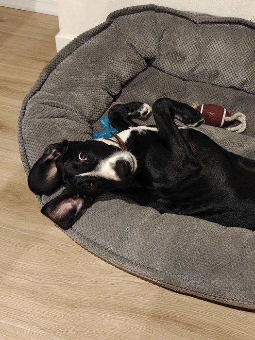 Прибирання мого будинку