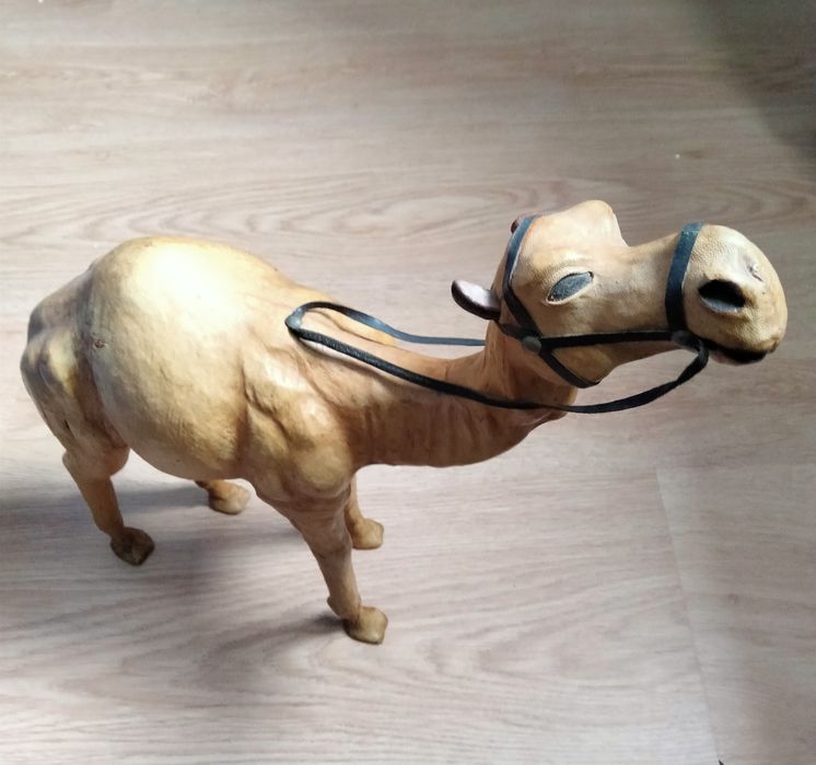 Dromedário Pele Marroquino