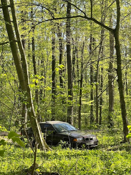 Продається наричена BMW E36 320