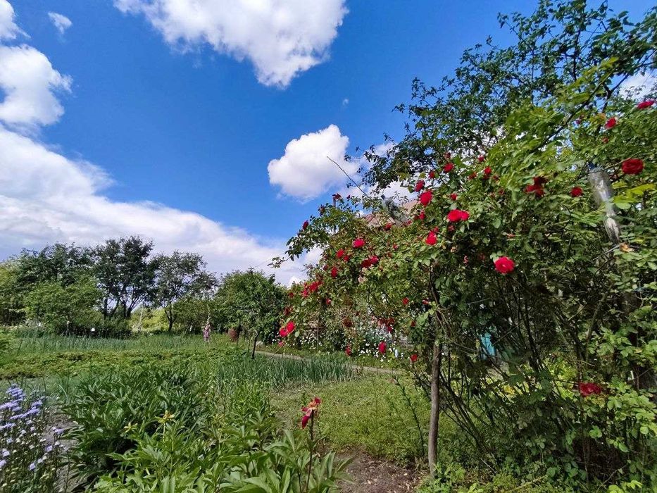 Продам дачу біля лісу - ділянка 15 соток та будинок з опаленням. (SP)