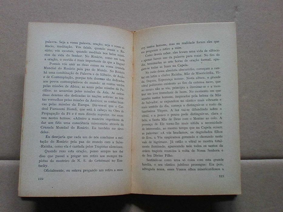 Nossa Senhora - Fulton J. Sheen