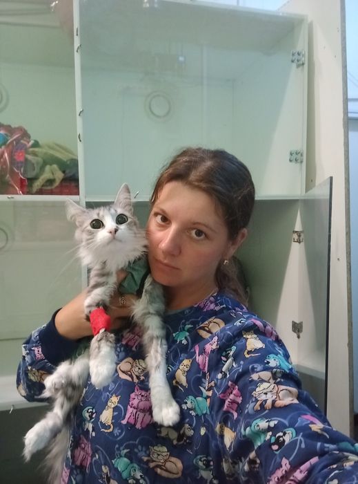 Ветеринар на дом, консультация, лечение животных, вакцинации, чип,