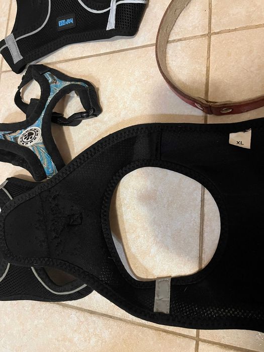 4 Szelki dla Psa XL, M, S, 2 Smycze, 5 Obroży i Regulowany Kaganiec