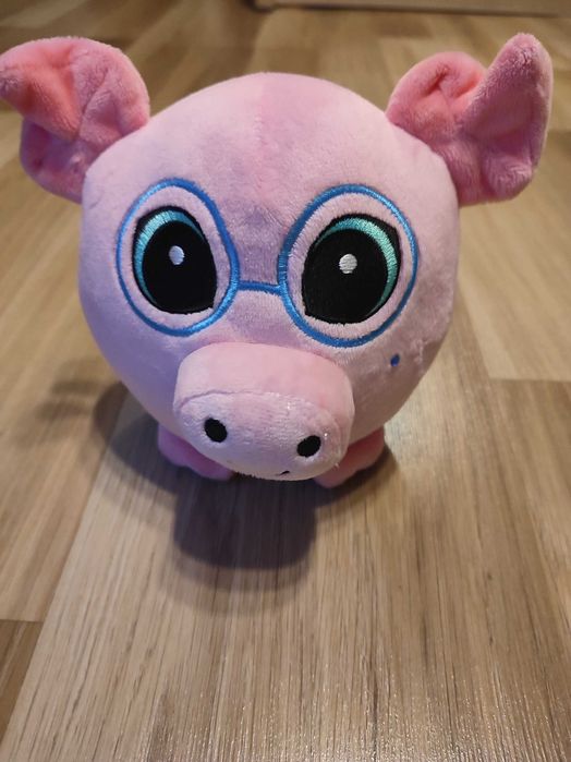 bystrzak skarbonita świnia biedronka