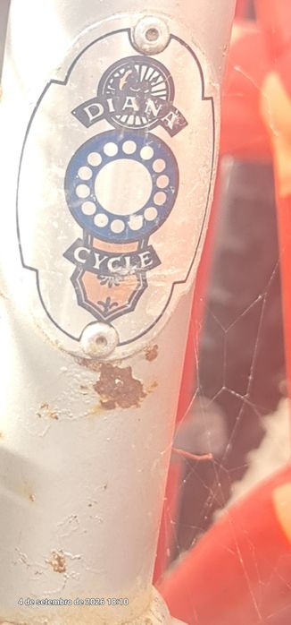 bicicleta clássica roda 26 - Nº 12
