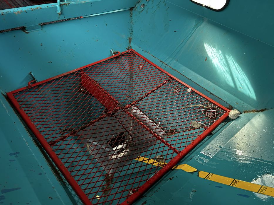 Rozsiewacz nawozu sulky dpx 1804