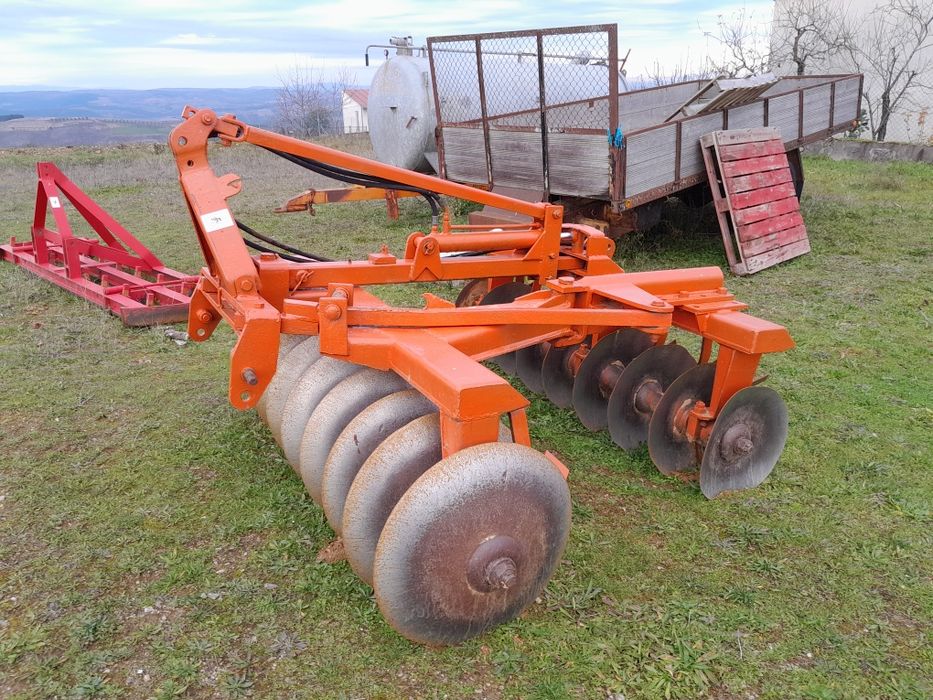 Charruas de vários tamanhos