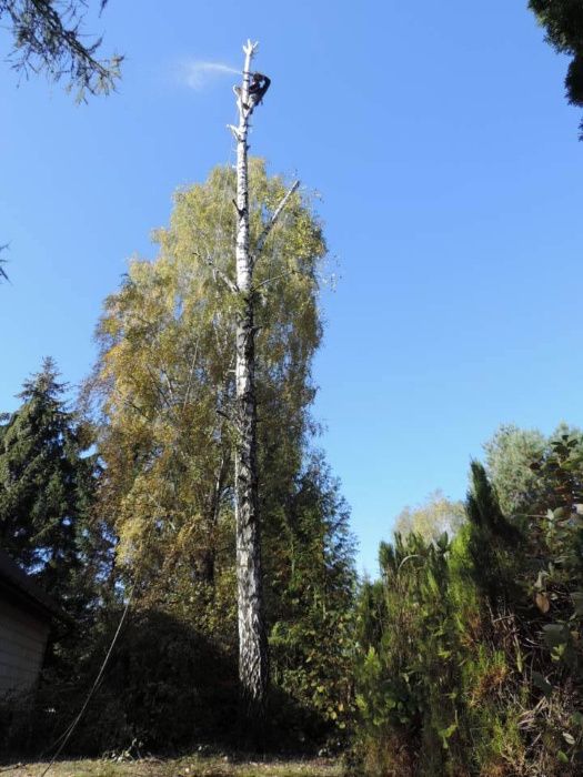 Wycinka drzew,skracanie koron,podcinka.Lubelskie.