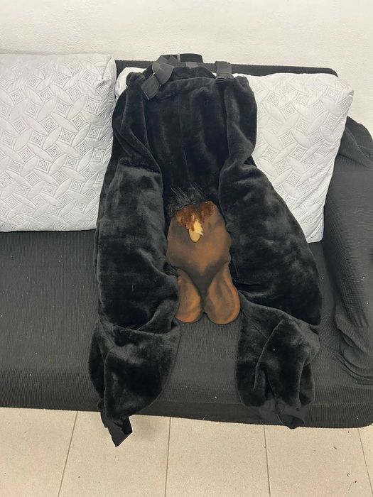 Mascote Exclusiva do Carnaval de Estarreja