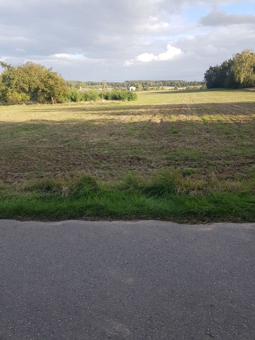 Grunty rolne 5.29 ha bezpośrednio od właściciela