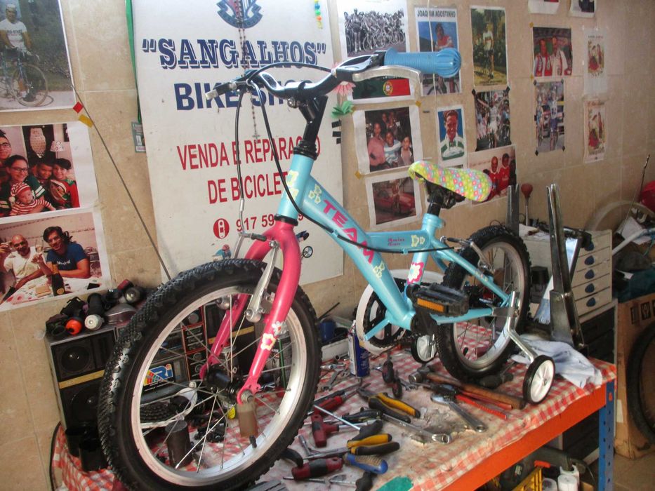 Bicicleta Criança 3-5 anos c/ rodinhas