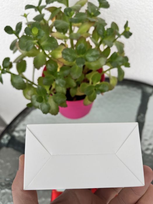 Xiaomi | Redmi Watch 5 Active - Nowy | Inteligentny zegarek