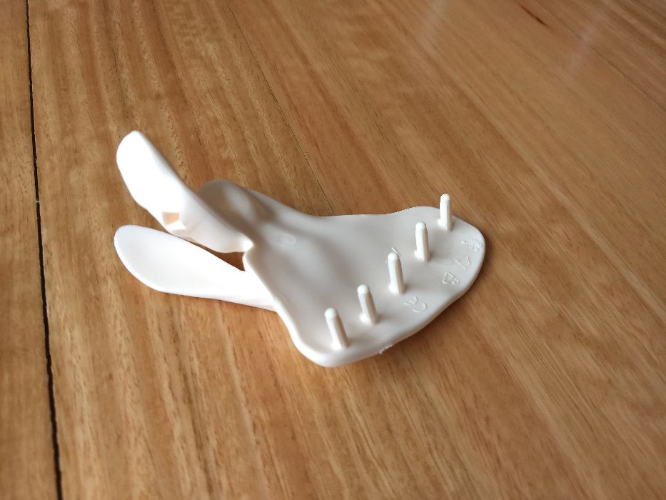 Peças de esqueleto do corpo humano