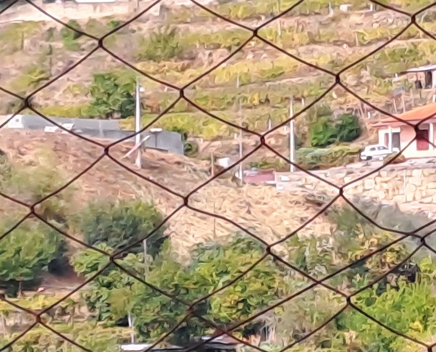 Terreno Loivos da Ribeira Baião