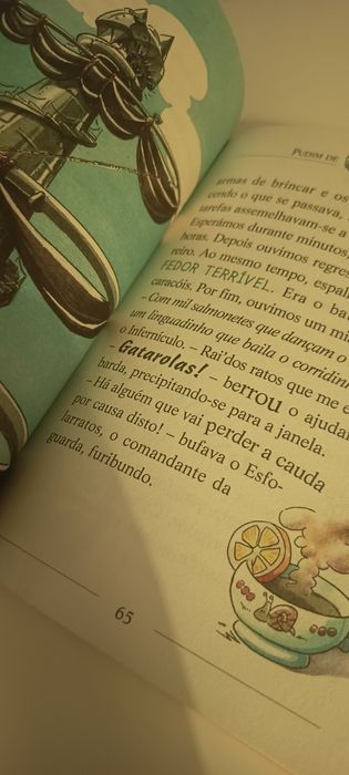 O Galeão dos Gatos Piratas