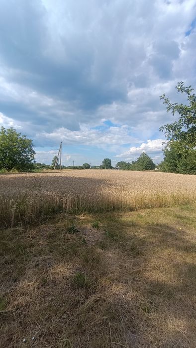 Продаж будинку у селі Луки