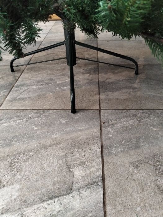 Pinheiro de natal