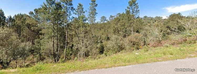 Terreno rústico 500m do rio Zêzere