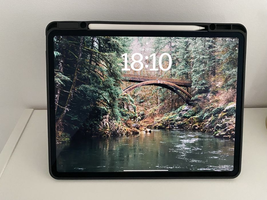 iPad 12.9 (2018) 512GB