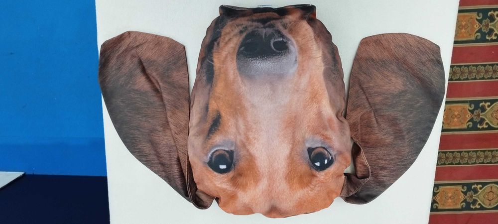 #372 Poduszka na urodziny głowa psa