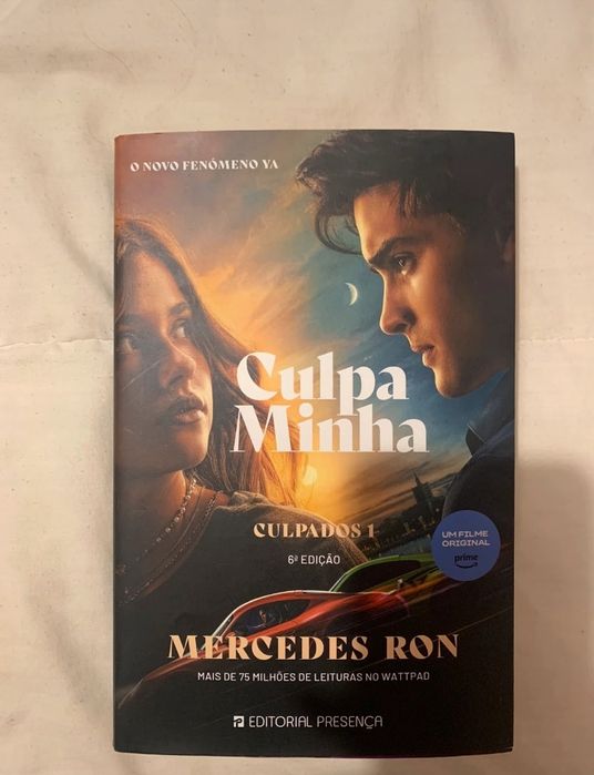 Livro culpa minha