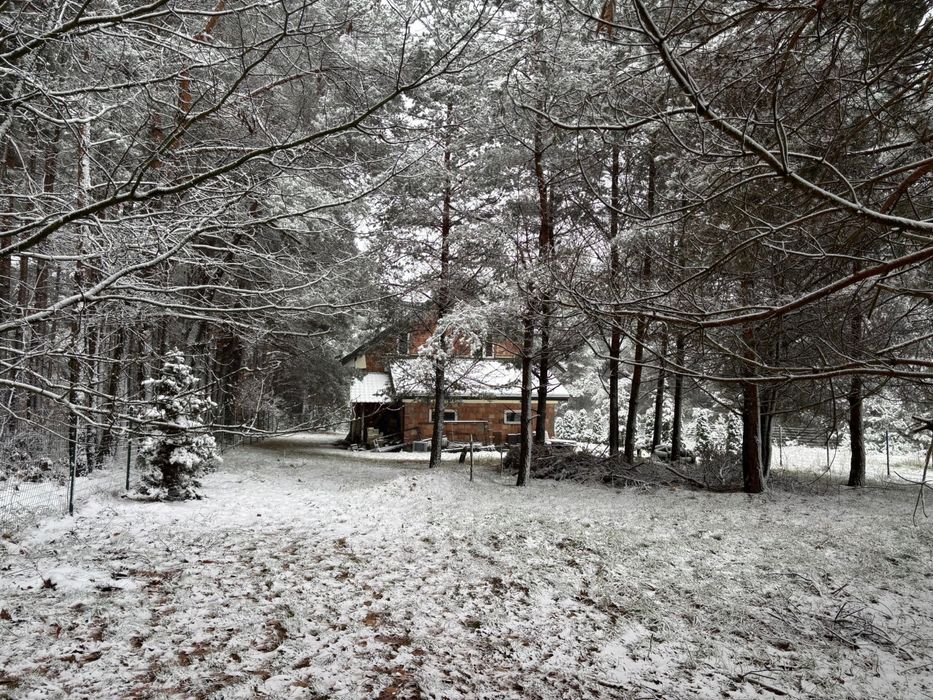Dom z dużą dzialką w otoczeniu lasu. Bezpośrednio!