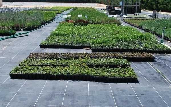 Tela Anti-Erva / Tela de Solo / Tela Anti-Infestantes - NOVO