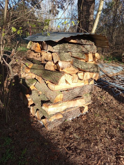 Drewno suche opałowe