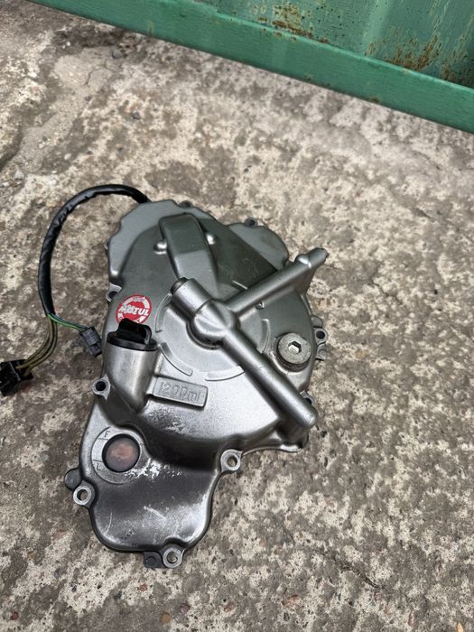 Генератор в сборе Скай Вей 250/400