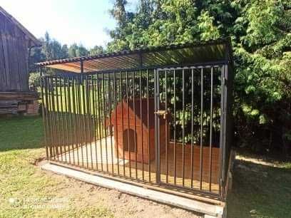 Kojec, boks klatka dla psa 3x2m ! ! Miski Gratis