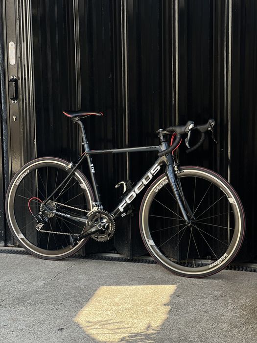 Focus cayo carbono