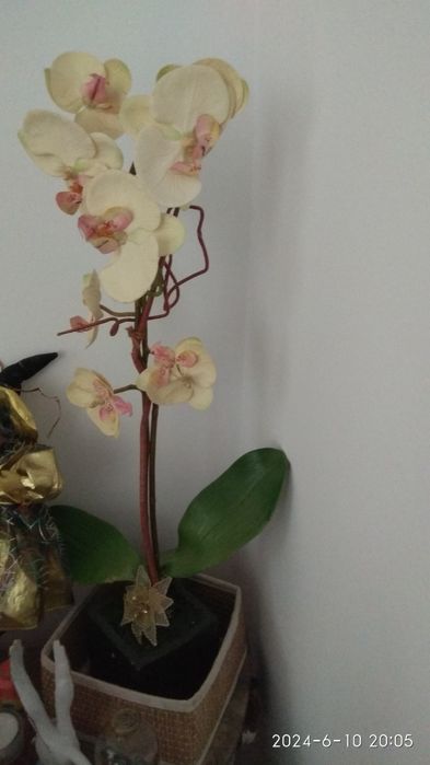 Planta artificial linda