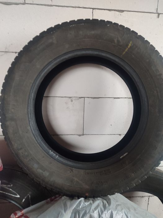 Шини Petlas snow master2