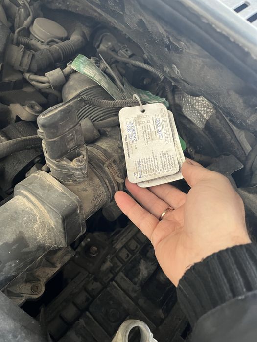 Кадік після ДТП.