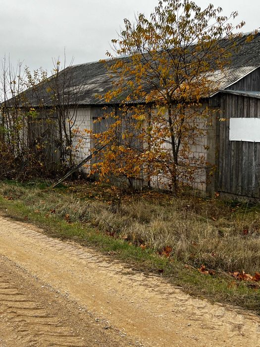 Gospodarstwo rolne 8ha!!! Harasimowicze  (Dąbrowa Białostocka)