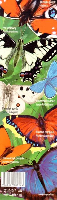 Zakładka do książki, motyle. Plan. Nowy Produkt