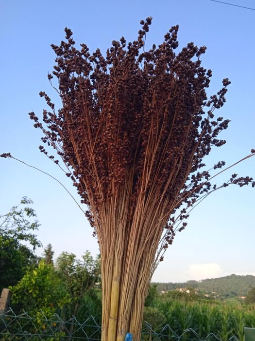 Vendo ramos de flores naturais