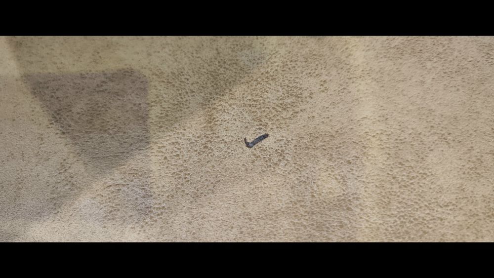 Conjunto sala de jantar