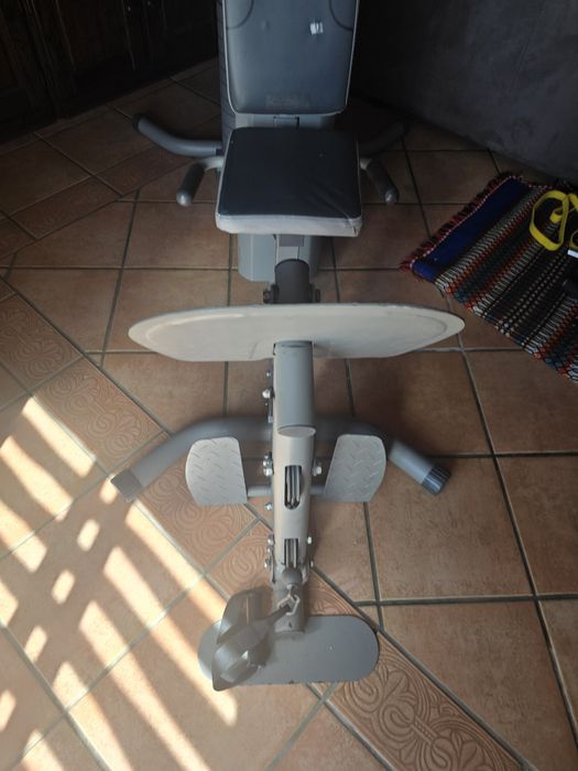 Maquina musculação432787096328611842