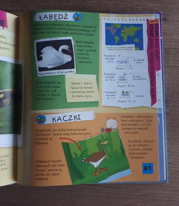 Wielka księga zwierząt