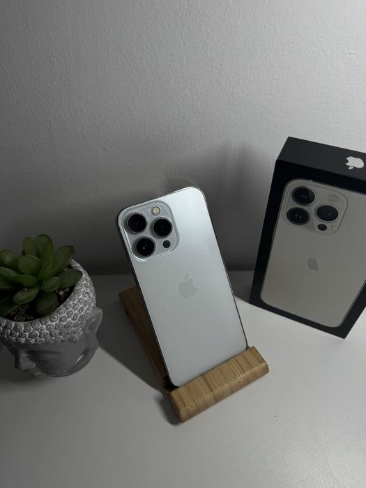 iphone 13 pro 100%
