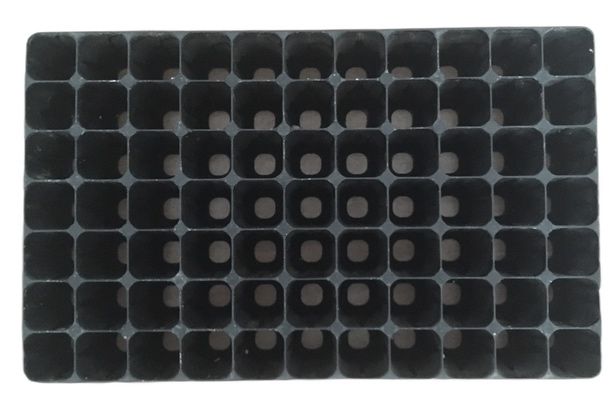 Tabuleiro / Bandeja rígido de germinação de sementes alveolar64738558349059121