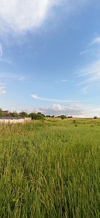 Продам земельну ділянку в Шкарівці