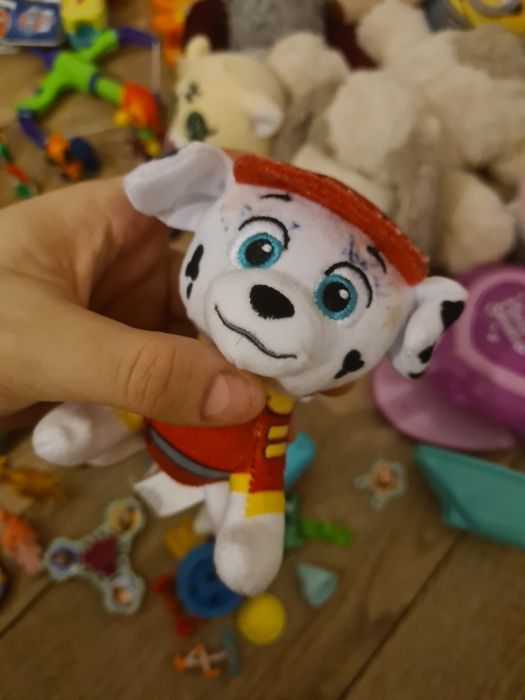 Zestaw rożnych zabawek