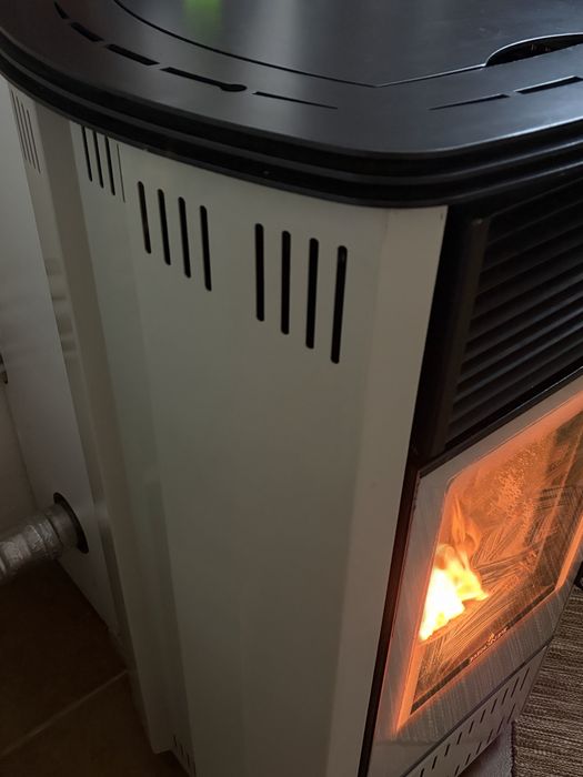 Salamandra Bio Bronpi