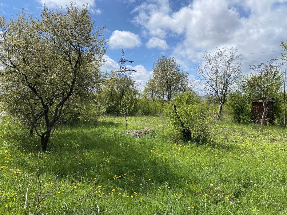 Продам ДАЧНУ ділянку в СТ "Цементник" в Ямниці (60)