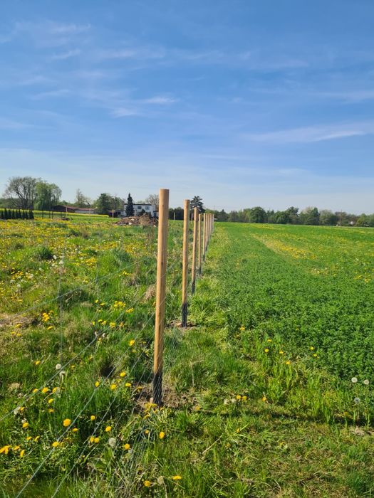 Ogrodzenie budowlane, Ogrodzenie tymczasowe, Ogrodzenie leśne