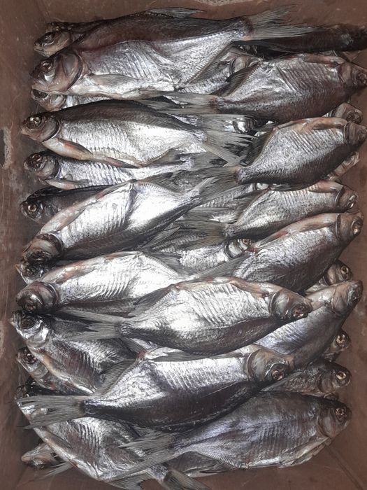 Тарань домашнего посола 100%Икряная